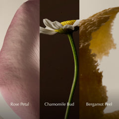 Bergamot peel detail illustrating Aesop hydrosol fresh citrus note and uplifting scent