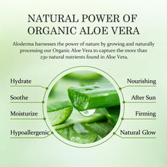 Aloderma applied to forearm calming sun-exposed skin quickly