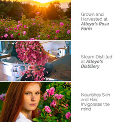 Alteya bottle set against rose garden highlighting farm-to-bottle traceability