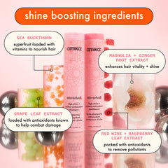 Hand holding Amika Mirrorball 500ml to show scale and ease of salon-size use
