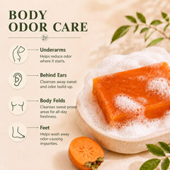 AMOQUCT coconut olive and persimmon ingredients for gentle care