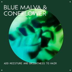 AVEDA blue malva shampoo lather texture close-up for gentle cleansing