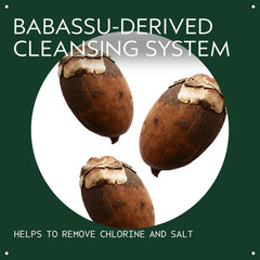 AVEDA ingredient close-up highlighting coconut and sunflower oil for hydration