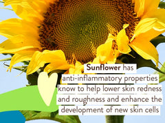 Close label shot of Babo Botanicals highlighting zinc oxide and clean ingredients