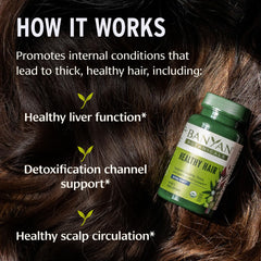 Banyan Botanicals tablet texture detail highlighting compact herbal formulation