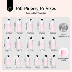 beetles labeled sizes spread showing 16 sizes for accurate fit