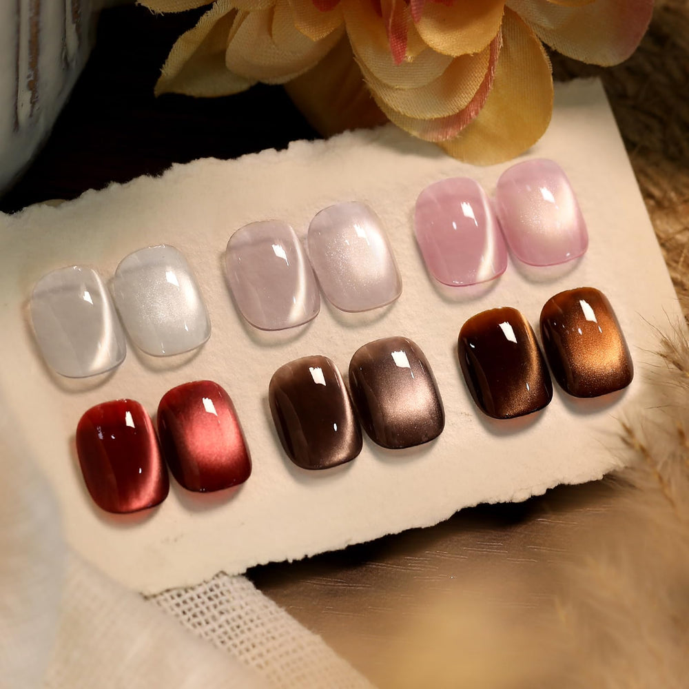 Born Pretty front packaging showing six magnetic gel bottles and retro colors