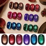 Born Pretty front packaging showing six magnetic gel bottles and magnet tool for versatile looks