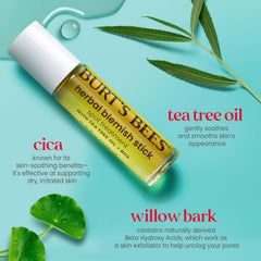 Burt's Bees two-pack flat lay demonstrating extra stick for travel and backup