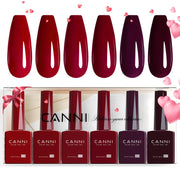 CANNI six-piece burgundy kit front packaging showcasing all bottles and benefit visibility