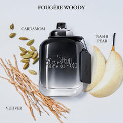 Coach close-up nozzle highlights precise spray for controlled application