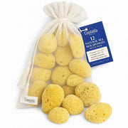 Constantia Beauty front packaging showing 12 natural sea sponges and bag for tidy storage