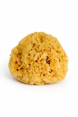 Constantia Beauty extra-large sponge front view showing natural shape and benefit
