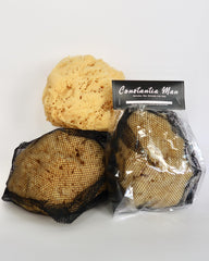 Constantia Beauty sponge texture close-up highlighting gentle exfoliation benefit