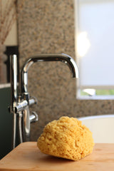 Constantia Beauty sponge producing lather in hand for efficient cleansing benefit