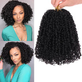 COOKOO front bundles display showing 8 packs and full set benefit