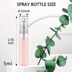 Csdtylh close-up of fine-mist spray head for even application