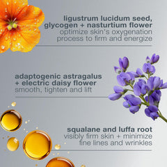 Dermalogica label listing Ligustrum Lucidum Seed Extract benefits