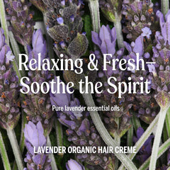 Dr. Bronner's ingredient label highlighting organic oils and ethical sourcing benefits