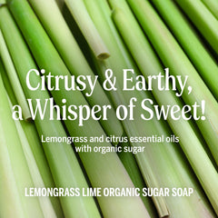 Dr. Bronner's ingredients display with shikakai and sugar highlighting nourishment
