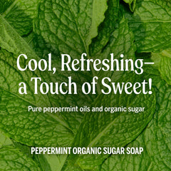 Dr. Bronner's shikakai powder close detail highlighting natural conditioning ingredient