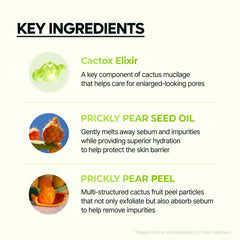 Dr.Melaxin CACTOX fine scrub particles detail for gentle exfoliation
