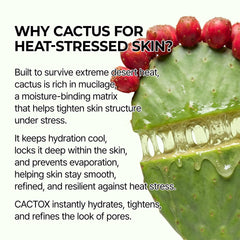 Dr.Melaxin pad being wiped across cheek to reduce puffiness and hydrate