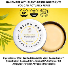 ECO ROOTS flatlay of ingredients showing clean, plant-based formulation benefit