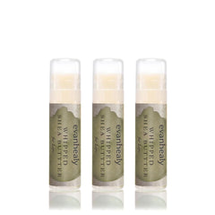 evanhealy front packaging showing three lip balm sticks for portable hydration