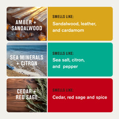 Every Man Jack Sea Minerals Citron stick front view showing fresh citrus benefit