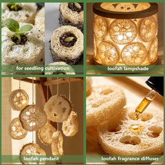 FRTIM loofah piece placed inside soap mold demonstrating craft-ready convenience