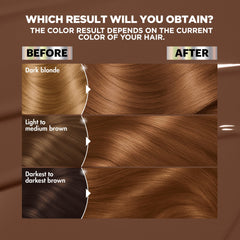 Garnier colorant tube and developer displayed to show complete kit contents