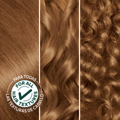 Garnier Nutrisse oil ampoule closeup highlighting nourishing oils
