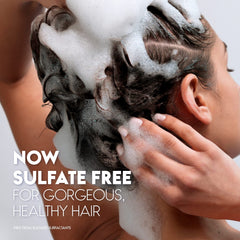 Head & Shoulders jojoba and argan oil ingredients close-up for nourishment