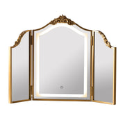HSDDHOME front view antique gold mirror showing full arch and elegance