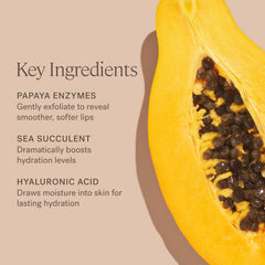 ILIA Sea Succulent ingredient shot illustrating moisture-magnifying properties
