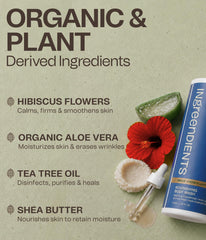 Ingreendients aloe vera leaf ingredient photo highlighting soothing action