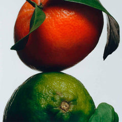 Jo Malone label close-up highlighting Lime Basil & Mandarin signature notes