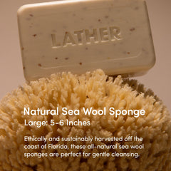 LATHER sponge close-up texture highlighting soft pores for effective lather