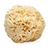 LATHER sea wool sponge front view showing natural shape and gentle cleansing