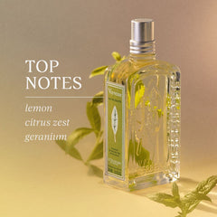 L'Occitane verbena roll-on held in hand to show compact size and easy portability