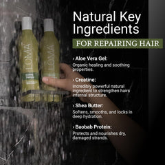 LOMA label closeup highlighting ingredients list and authenticity code benefits