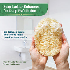 LooLife loofah held in hand showing scale and ergonomic grip benefit