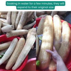 LUFAFY wet loofah expanded after soaking showing restored flexible shape