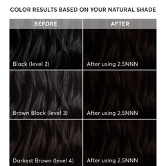 Madison Reed instruction booklet laid out for clear application