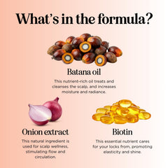 Maple Holistics rosemary and onion ingredient display supporting scalp clarity