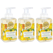 Michel Design Works front packaging showing decorative bottle and medallion, enhances counters