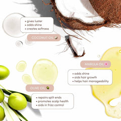 Mizani with coconut marula and olive oil bottles highlighting nourishing ingredients