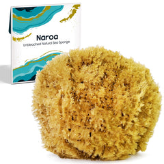 Naroa front view of medium natural sponge showing shape and texture benefits