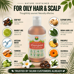 Nature Sustained wildcrafted botanical close-up highlighting natural actives
